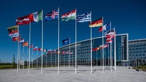 ORGANIZZAZIONI INTERNAZIONALI